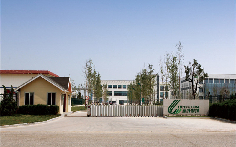 綠葉制藥企業(yè)資產(chǎn)評估